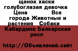 щенок хаски  голубоглазая девочка › Цена ­ 12 000 - Все города Животные и растения » Собаки   . Кабардино-Балкарская респ.